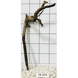 Spiderwood 374