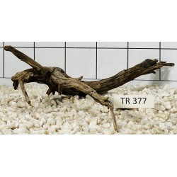 Spiderwood 377