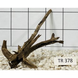 Spiderwood 378