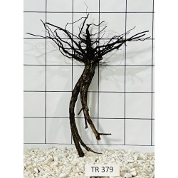 Spiderwood 379