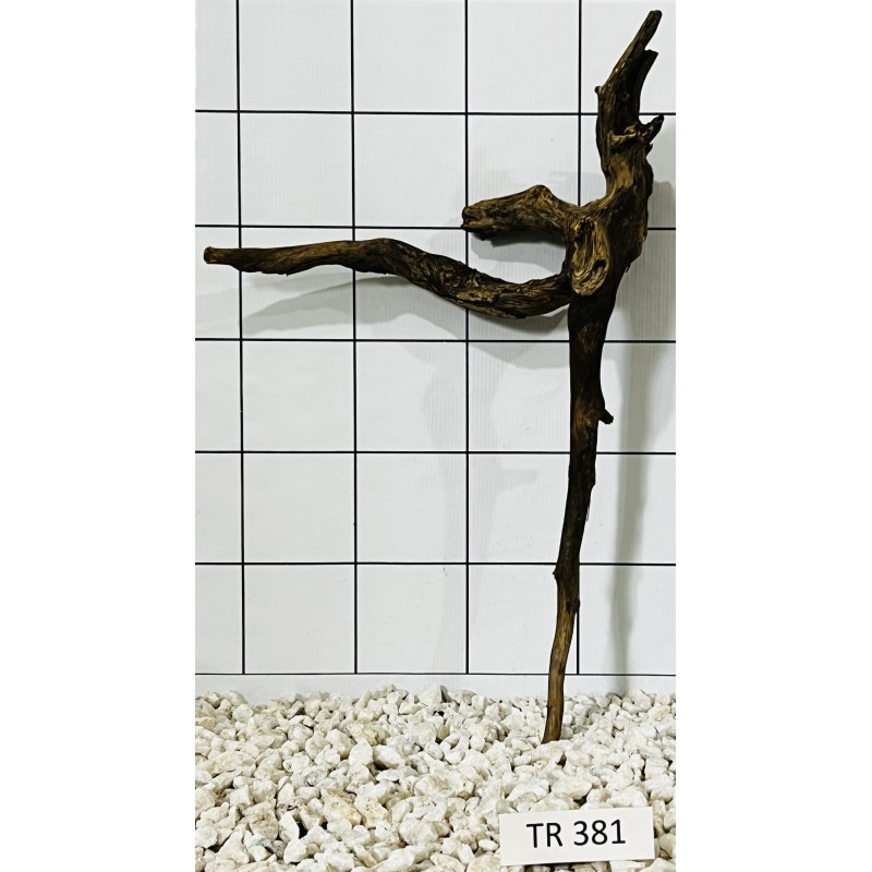 Spiderwood 381