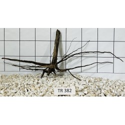 Spiderwood 382