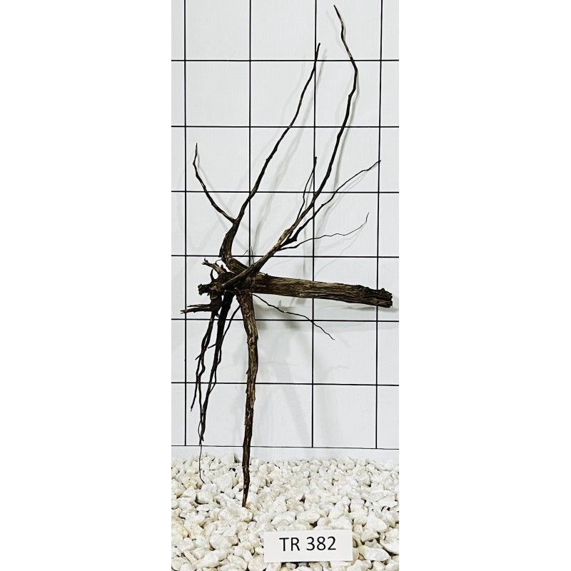 Spiderwood 382