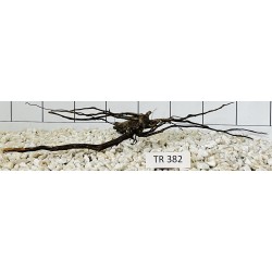 Spiderwood 382