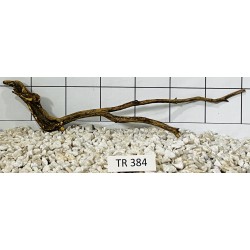 Spiderwood 384