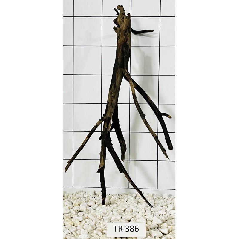 Spiderwood 386