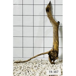 Spiderwood 387