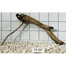 Spiderwood 387