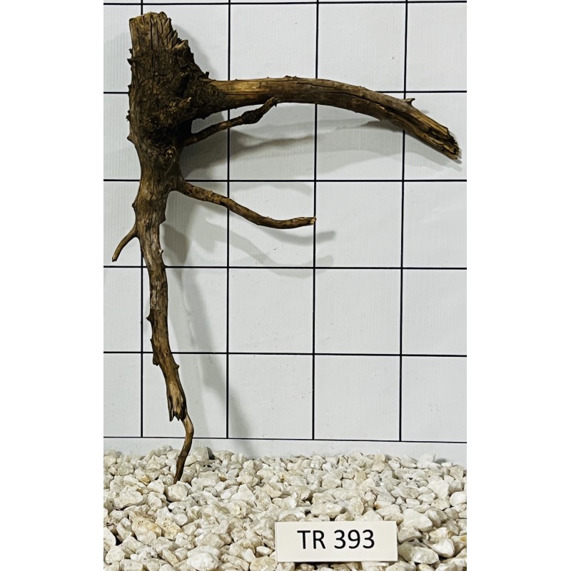 Spiderwood 393