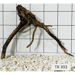 Spiderwood 393