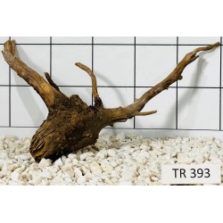 Spiderwood 393
