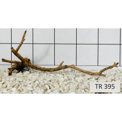 Spiderwood 395