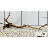 Spiderwood 395