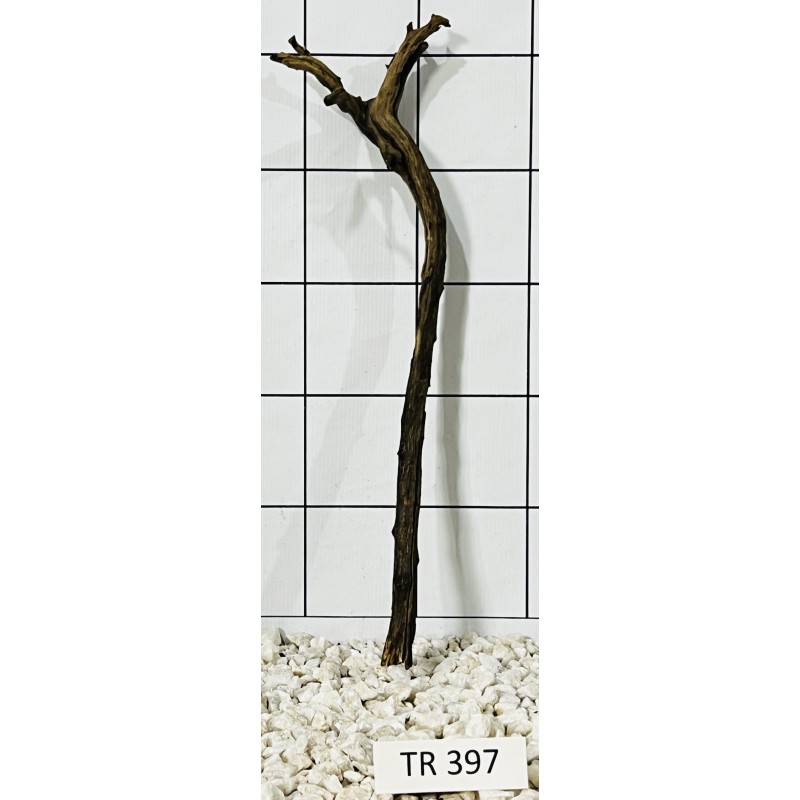 Spiderwood 397