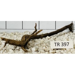 Spiderwood 397