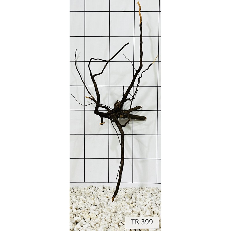 Spiderwood 399