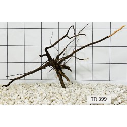 Spiderwood 399