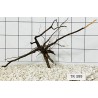 Spiderwood 399