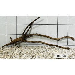 Spiderwood 400
