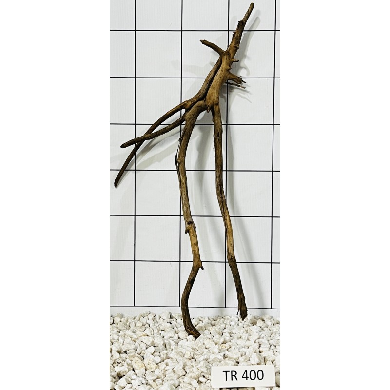 Spiderwood 400
