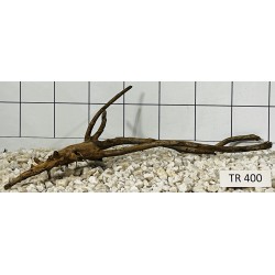 Spiderwood 400