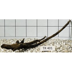 Spiderwood 401