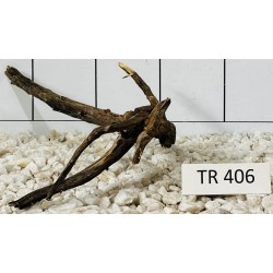 Spiderwood 406