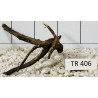 Spiderwood 406