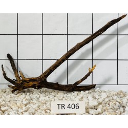 Spiderwood 406