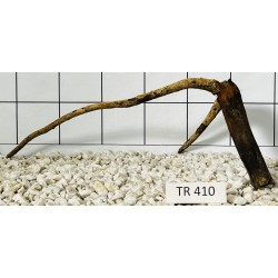 Spiderwood 410