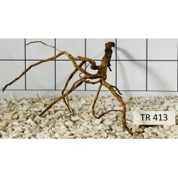 Spiderwood 413