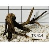 Spiderwood 414