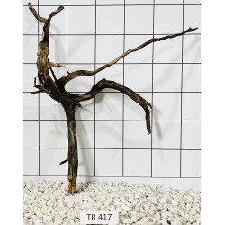 Spiderwood 417