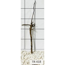 Spiderwood 418
