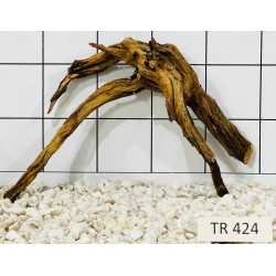 Spiderwood 424