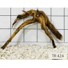 Spiderwood 424