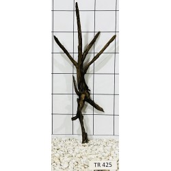 Spiderwood 425