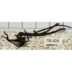 Spiderwood 426