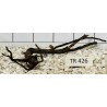 Spiderwood 426