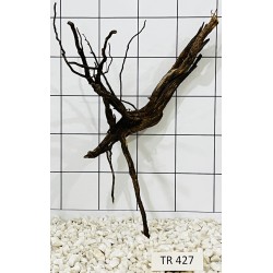 Spiderwood 427