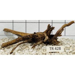 Spiderwood 428