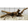 Spiderwood 428