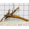 Spiderwood 428