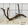 Spiderwood 429