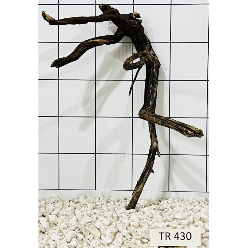Spiderwood 430