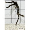 Spiderwood 430