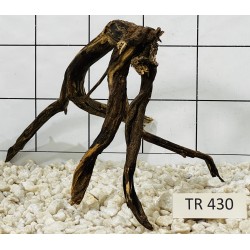 Spiderwood 430