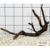 Spiderwood 430