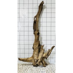 Mangrovewood 437