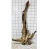 Mangrovewood 437